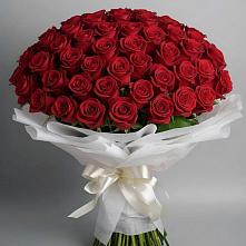 Букет 101 Красная роза Блэк Мэджик в Островцы