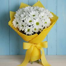 Букет цветов из:  Хризантемы #REPLACE_PRED# Островцы