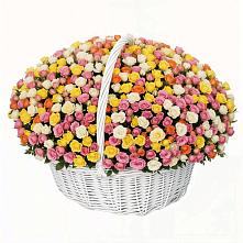 Премиум букет из: Розы в Островцы