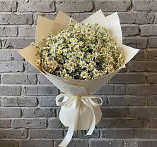 Букет цветов из:  Ромашки в Островцы