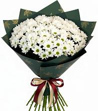 Букет цветов из:  Хризантемы в Островцы