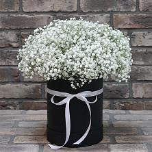 Цветочная композиция из Гипсофила в шляпной коробке в Островцы