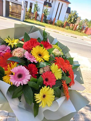 Букет цветов из: Герберы в Островцы
