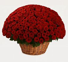 Премиум букет из: Розы в Островцы