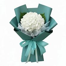 Букет цветов из:  Гортензия в Островцы